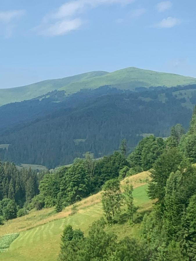 Котедж Подобовець Екстер'єр фото
