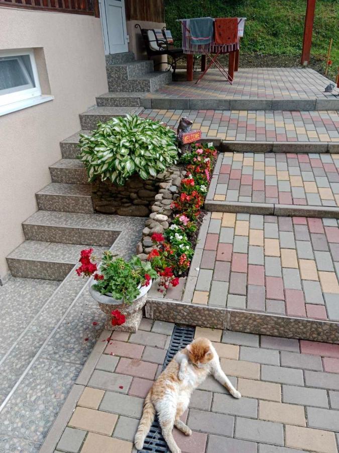 Котедж Подобовець Екстер'єр фото